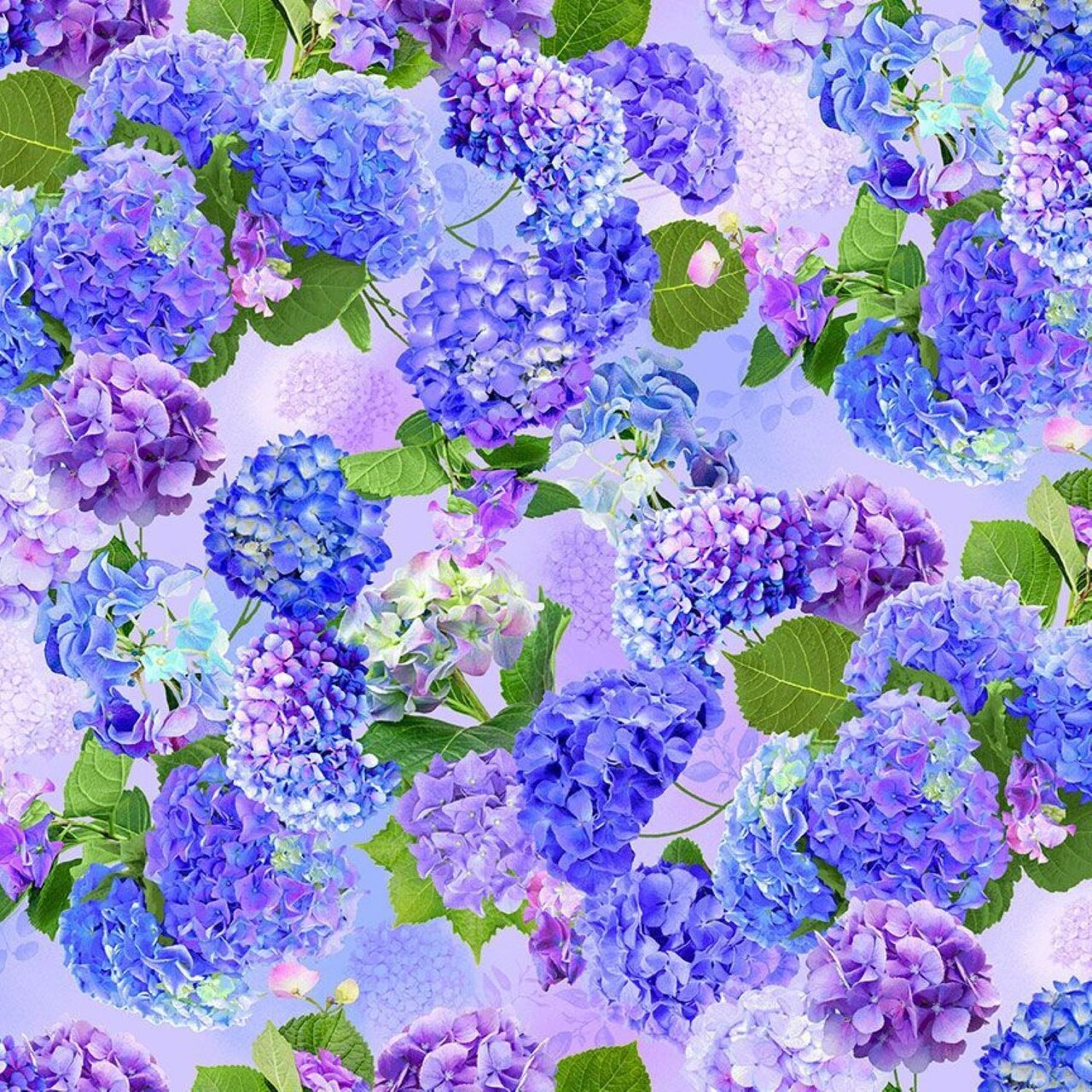 Timeless Treasures Hydrangea Bliss Medium Flowers Cotton Fabric BTY